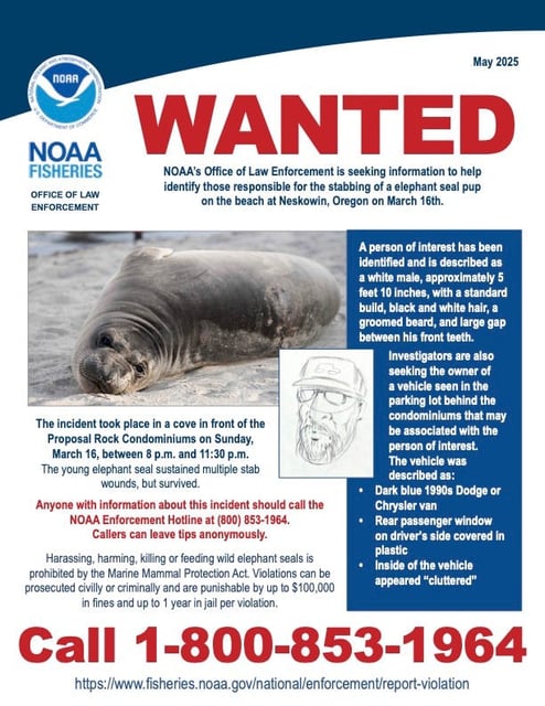 NOAA released a wanted poster for an incident that took place in a cove in front of the Proposal Rock Condominiums on the beach at Neskowin, Oregon, on March 16.