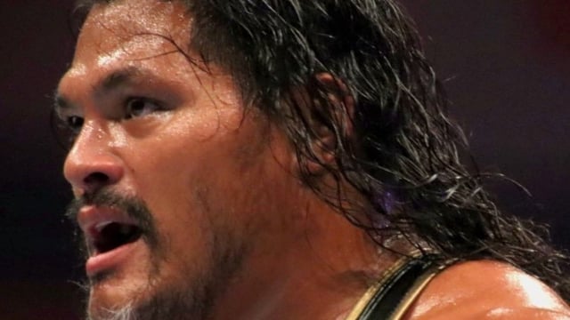 Jeff Cobb's WWE debut at Backlash 2025 stunned audiences as he aided Jacob Fatu.