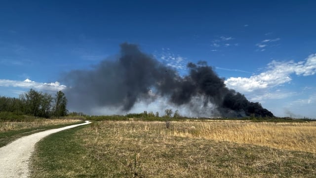 Fire crews in Winnipeg are at the scene of a wildfire along Gunn Road in the Transcona neighbourhood on Monday.