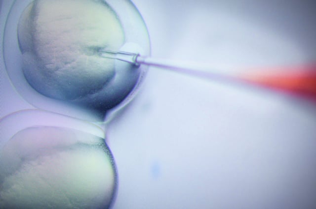 A researcher performs a CRISPR/Cas9 process in Germany in 2019.