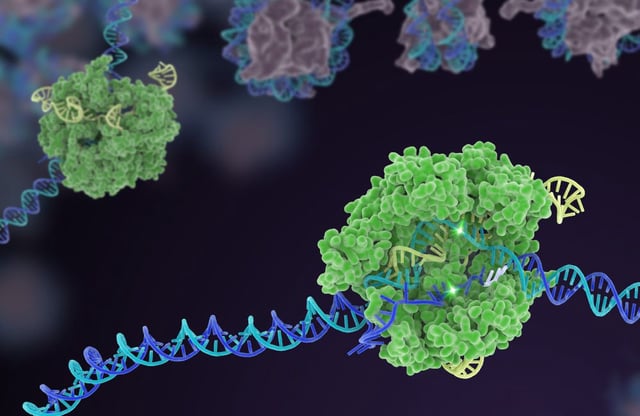 Illustration of CRISPR-Cas9 editing DNA.
