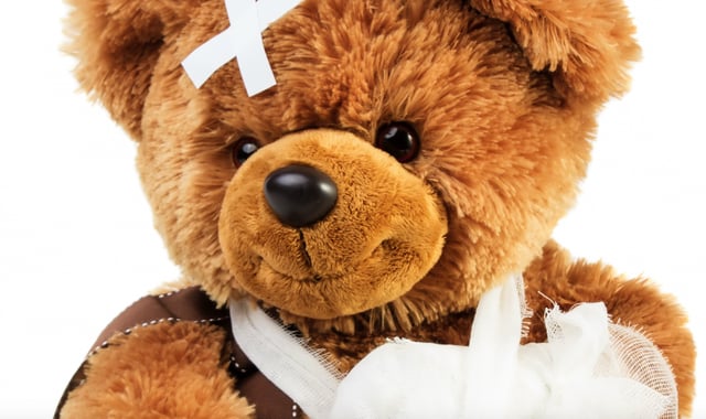 bear, injury (Unsplash)