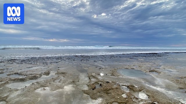 A beach along the Great Australian Bight.