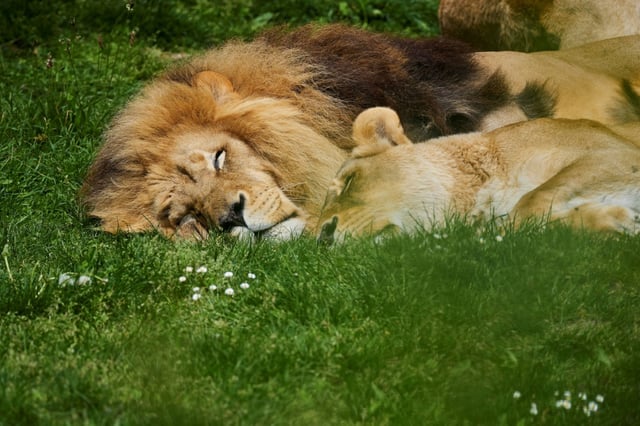 Scientists are increasingly exploring mechanisms that can help the body adapt to rising temperatures affecting our sleep