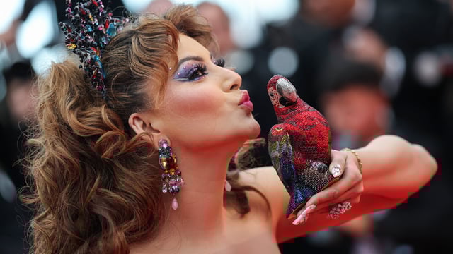 Urvashi Rautela poses on the red carpet during arrivals for the opening ceremony and the screening the film Partir un jour (Leave One Day) Out of competition at the 78th Cannes Film Festival in Cannes, France, May 13, 2025. 