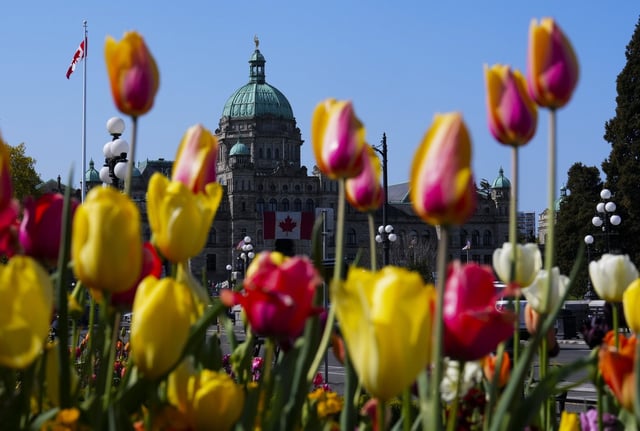 The B.C. legislature is pictured in downtown Victoria, B.C., on Wednesday, April 23, 2025. THE CANADIAN PRESS/Sean Kilpatrick