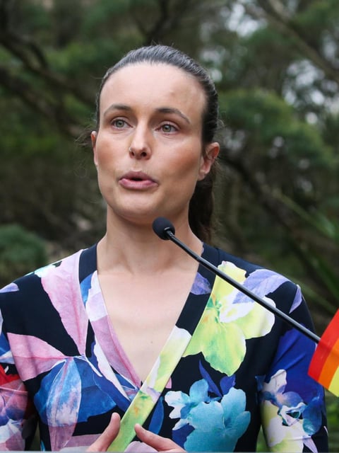 A bill seeking to expand access to abortions in NSW has reached a major milestone after passing the lower house. NewsWire / Gaye Gerard