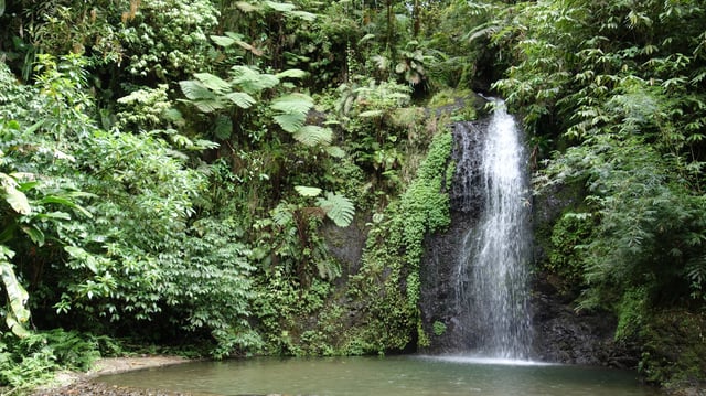 La cascade du Gendarme, sur l’île de la Martinique.