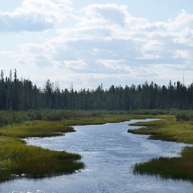 A stream runs along the outskirts of Neskantaga First Nation, part of northern Ontario's mineral-rich Ring of Fire region, on Sunday, Aug. 20, 2023. THE CANADIAN PRESS/Chris Young