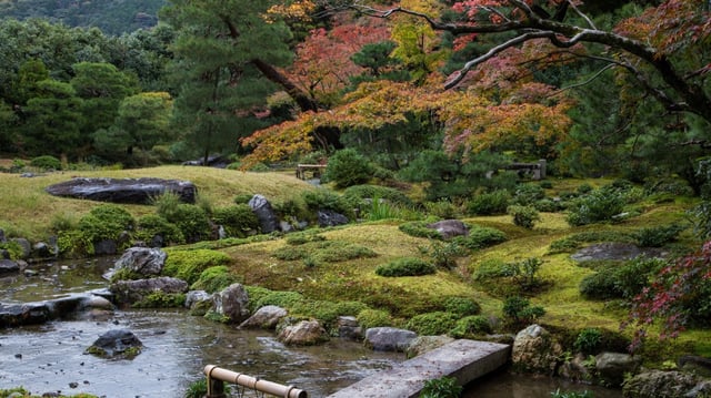 Part of the study took place at the Murin-an Garden in Kyoto