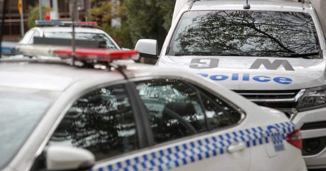 NSW Police vehicles. File picture by Adam McLean