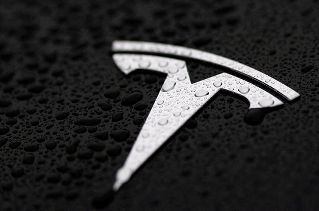 The logo of Tesla is seen on a Tesla car in Brussels, Belgium April 24, 2025. REUTERS/Yves Herman//File Photo