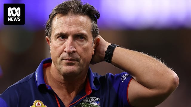 Luke Beveridge scratches his head