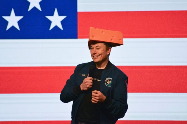 Elon Musk has promised registered swing state voters money in return for signing petitions and referring other signees.