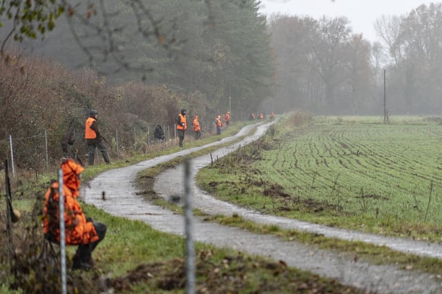 Des chasseurs lors d'une journée de battue aux cerfs, biches, sangliers en décembre 2020, dans le Maine-et-Loire.