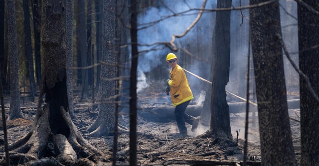 A North Star firefighter pulls a water line to douse a hot spot as part of the efforts to combat the Camp House in Brimson, Minn. on Thursday, May 15, 2025.   ]

ALEX KORMANN • alex.kormann@startribune.com