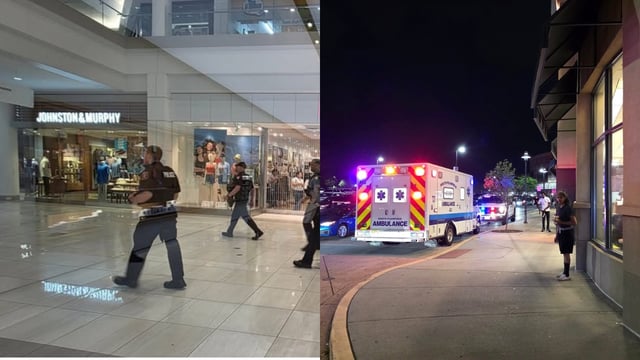 Menlo park mall brawl