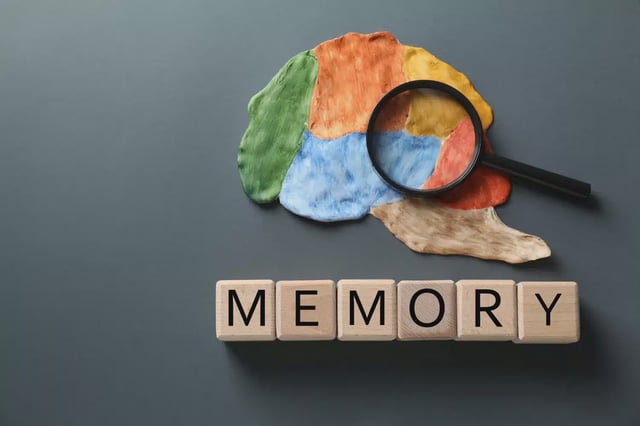 brain memory