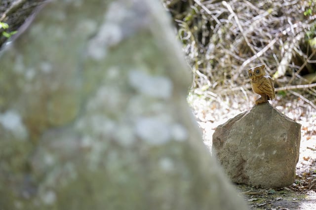 Une chouette en bois laissée par l'un des joueurs de la "Chouette d'or" sur la pierre sous laquelle a été trouvé la célèbre statuette recherchée pendant trente et un ans.