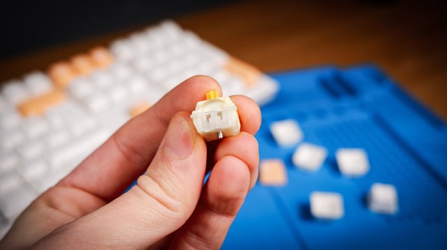 Ducky's own induction switch features a unique design with a tapered prong protruding from the bottom. This was different to Cherry's previous induction switch design, MX Multipoint, which Ducky ditched before release.