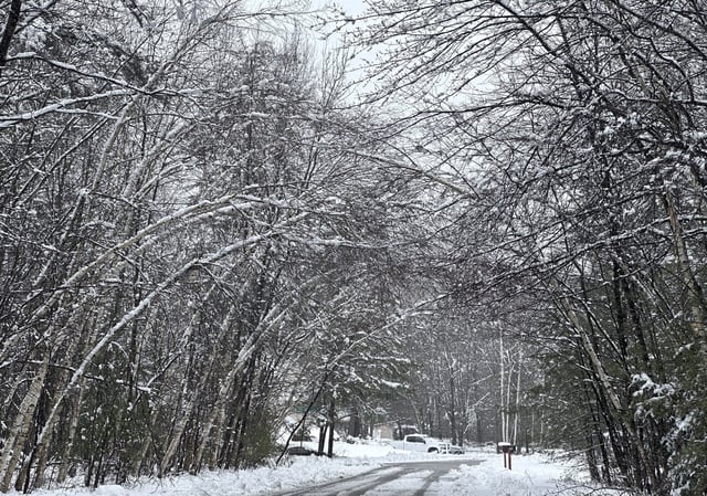 FILE - Snow weighs down trees in Concord, N.H., April 4, 2024. (AP Photo/Kathy McCormack, file)