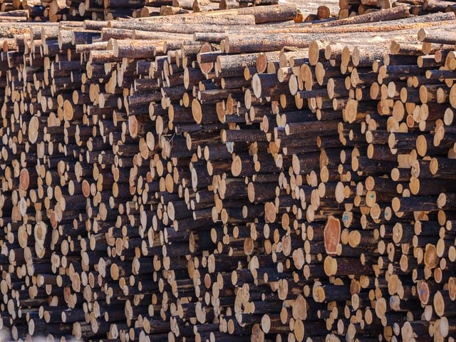 A pile of logs awaiting shipment.
