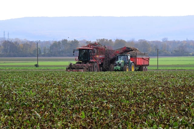 European farmers say Russian fertilizer is cheaper and easier to get