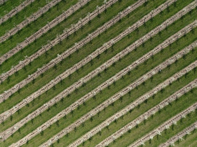 Das Europaparlament hat Strafzölle auf Düngemittel aus Russland und Belarus beschlossen. Die Abgeordneten stimmten für den Vorschlag der EU-Kommission, zusätzliche Zölle auf Stickstoff-basierte Düngemittel und weitere Agrarprodukte zu erheben.