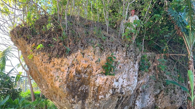 limestone boulder