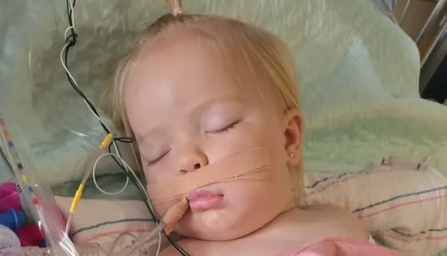 Cara Reed, 2 years old, is recovering in the hospital after being bitten by a rattlesnake twice May 16, 2025.
