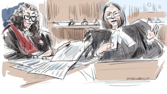 Justice Maria Carroccia listens on while assistant Crown attorney Meaghan Cunningham speaks in the courtroom.