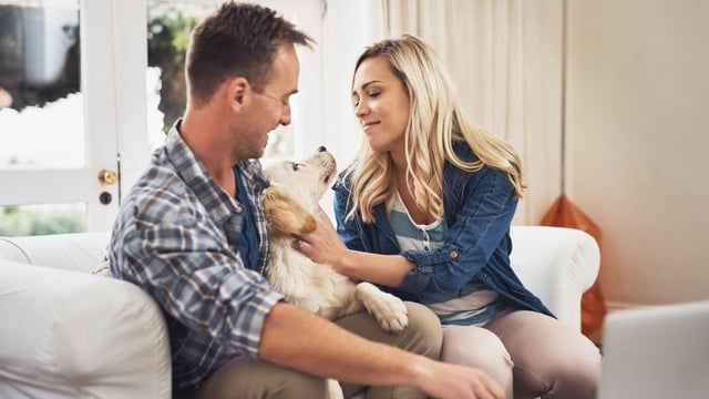 Dog owners have their “nurturing drive” fulfilled by looking after their pets, research has found