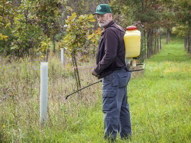 Man spraying tree sapling with pesticides on October 28, 2021.