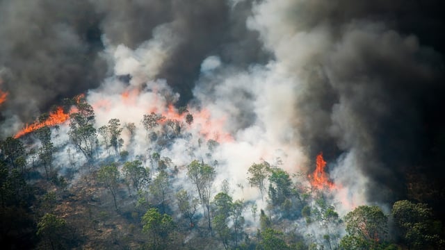 Tracy Fire