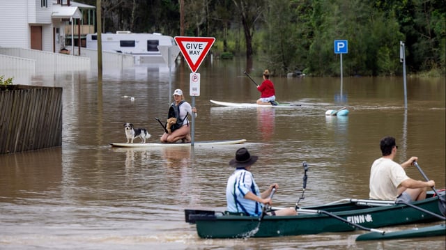 Im australischen Maitland fahren Anwohner auf Booten oder Paddleboards durch die überfluteten Straßen.