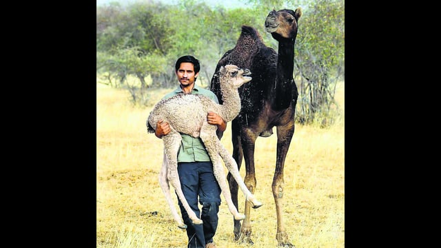 He belonged from the Bishnoi community of Rajasthan, who are known for their environmental stewardship. (HT PHOTO)