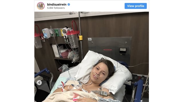 Bindi Irwin shares update after undergoing several procedures.