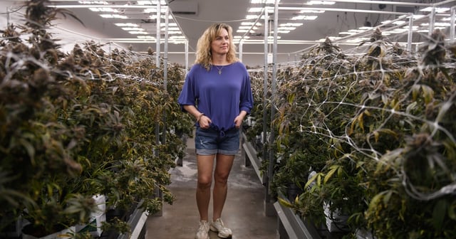 Ann Gauger stands in one of the Caprock Family Farms’ grow rooms, Friday, May 23, 2025, in Lubbock. “Agriculture is changing and the new age of agriculture has to be cutting edge,” Ann Gauger says.
