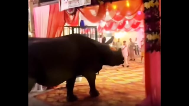 Nepal’s wedding video goes viral. Image Source: gags.nepal/ Instagram