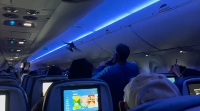 A bird flies inside Delta Air Lines flight 2348, Saturday in Minneapolis.