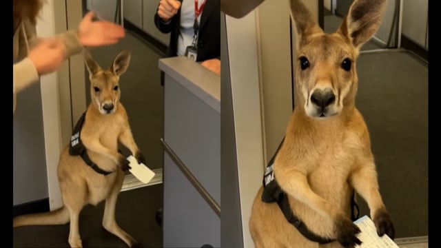 AI video goes viral. Image Source: Infinite Unreality/ Instagram