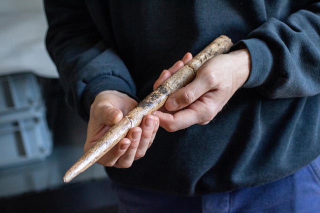 A large projectile point made of gray whale bone from the Duruthy rockshelter, dated between 18,000 and 17,500 years ago, is pictured in Landes, France, March 30, 2021. Alexandre Lefebvre/Handout via REUTERS./File Photo