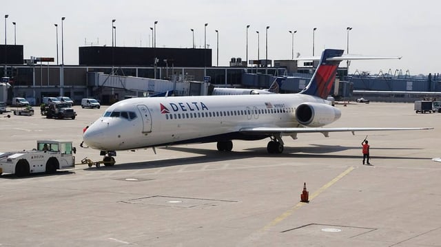 A veterinarian on the flight also provided care to the dog and medical personnel met the flight when it landed