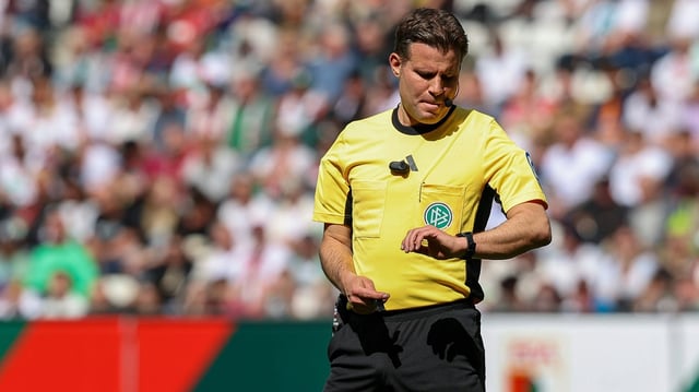 Schiedsrichter des Jahres: Felix Brych