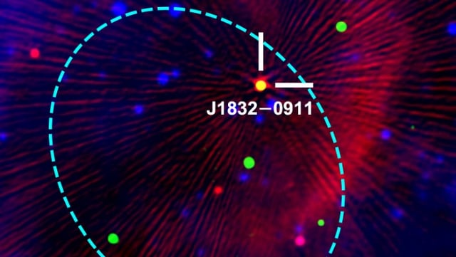 A composite of radio, X-ray, and infrared emission of the field of ASKAP J1832-0911. Image credit: Wang et al., doi: 10.1038/s41586-025-09077-w.