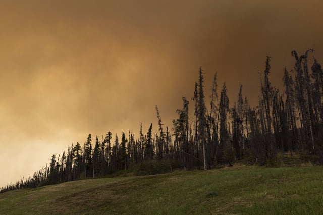 Wildfire smoke hangs in the air above Highway 97 north of Buckinghorse River, British Columbia, on Friday, May 30, 2025.