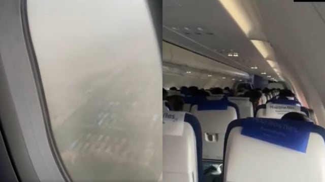 indigo  (3)