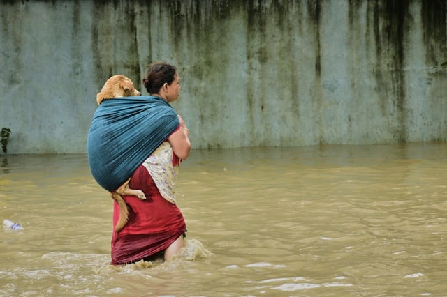 A woman carries her dog as she wades through floodwater triggered by days of torrential monsoon rains, in Imphal in India's northeast state of Manipur, Sunday, June 1, 2025. (AP Photo/Donald Sairem)