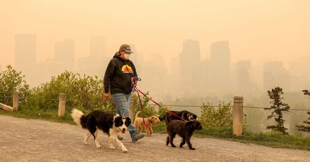 Leslie Kramer walk her dogs as some 90 wildfires are active in Alberta, with 23 out of control, according to the provincial government, in Calgary, Alberta, Canada.  REUTERS/Leah Hennel