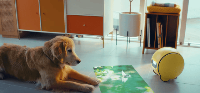 Samsung Ballie with a dog